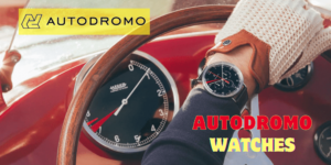 Micromarca de relojes Autodromo Watches