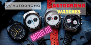Modelos de relojes Autodromo Watches